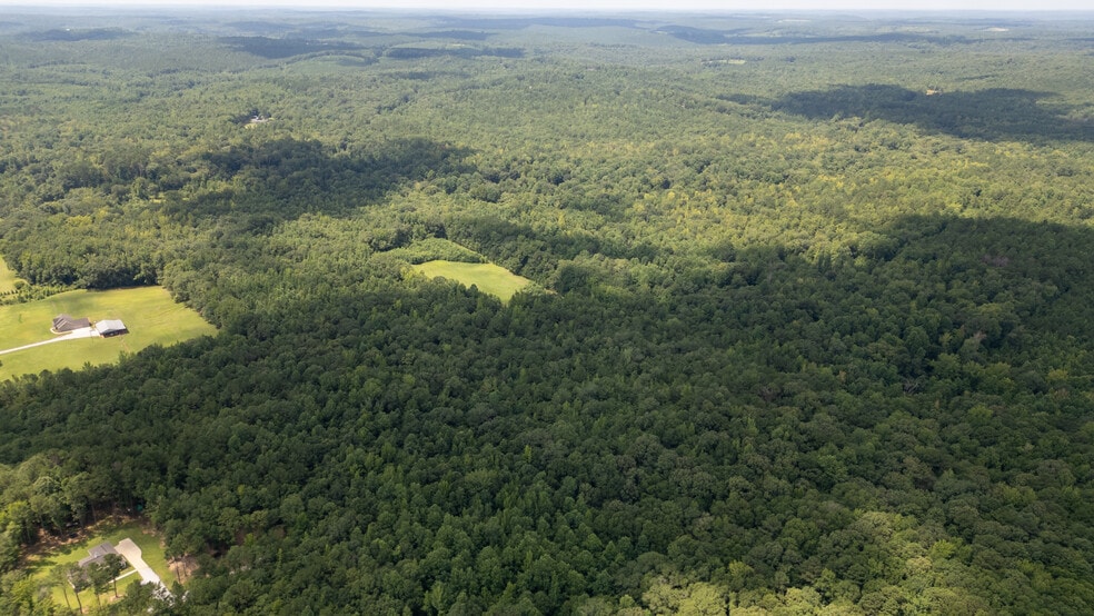 More Photos Of 17796 Dry Branch loop, Northport Land For Sale