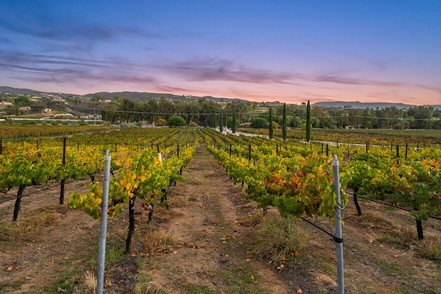 More Photos Of 39750 De Portola Rd, Temecula Specialty For Sale