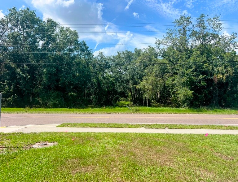 Primary Photo Of 1308 E Alsobrook St, Plant City Land For Sale
