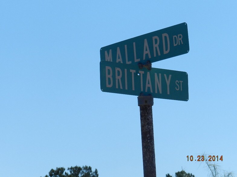 More Photos Of E US 290, Fort Stockton Land For Sale