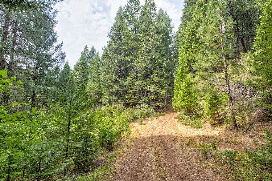More Photos Of Mountain Dew Lane, Somerset Land For Sale