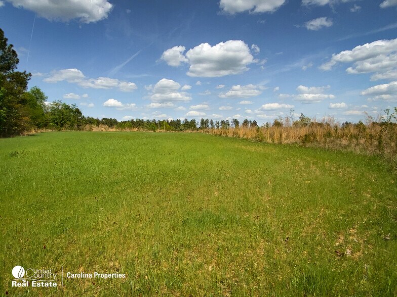 More Photos Of 1084 Stoney Pointe, Lexington Land For Sale