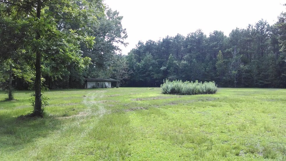 More Photos Of 4420 Highway 145, Waynesboro Land For Sale