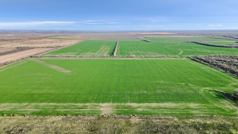 More Photos Of TBD Wall St Rd, Gunter Land For Sale