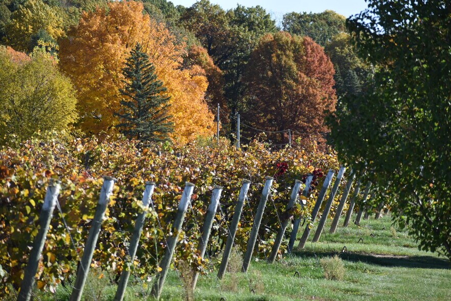 More Photos Of 10220 Lauer Rd, Baroda Winery Vineyard For Sale