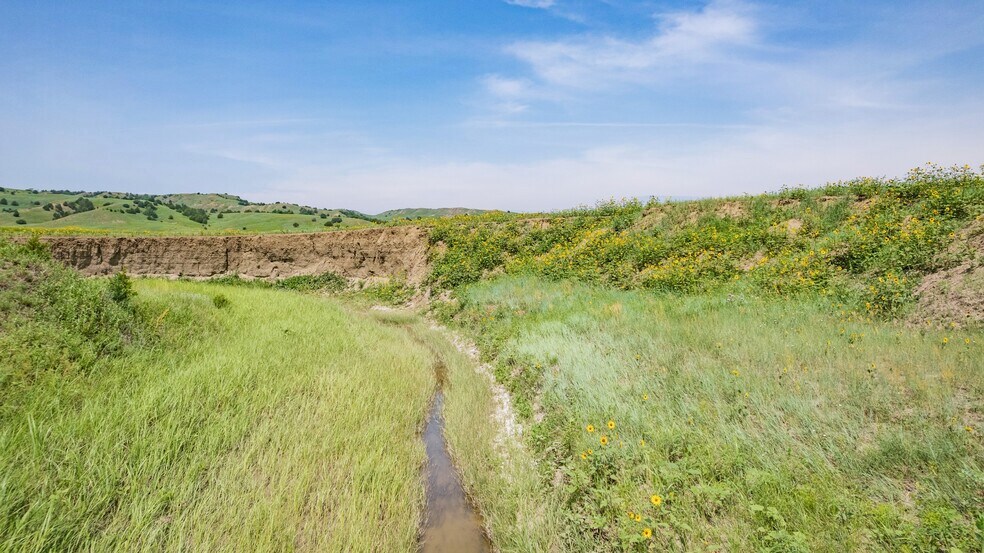 More Photos Of 21627 Hardingrove Rd, Milesville Land For Sale