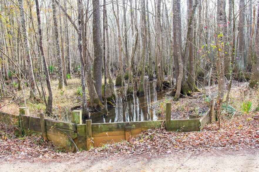 More Photos Of 409 Windward Ave, Orangeburg Land For Sale