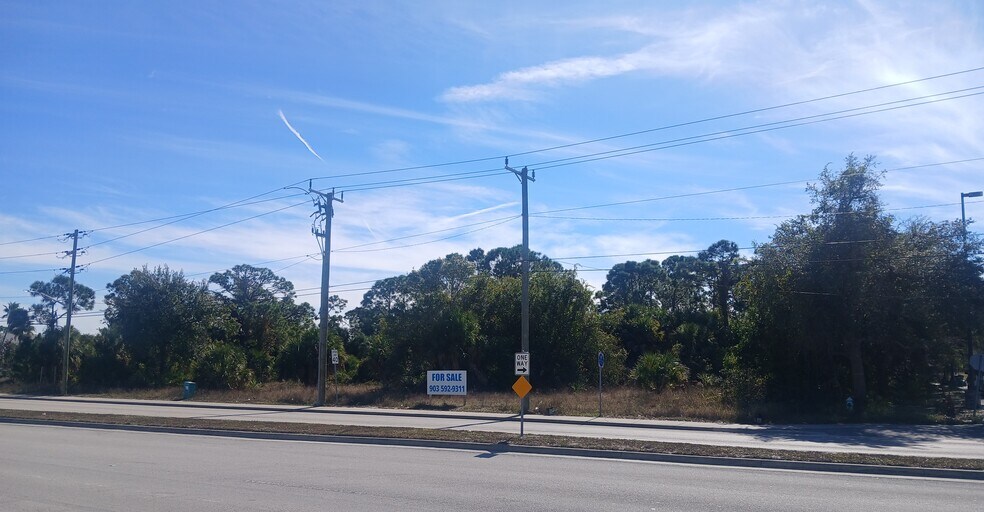 More Photos Of 120 E Dearborn St, Englewood Land For Sale