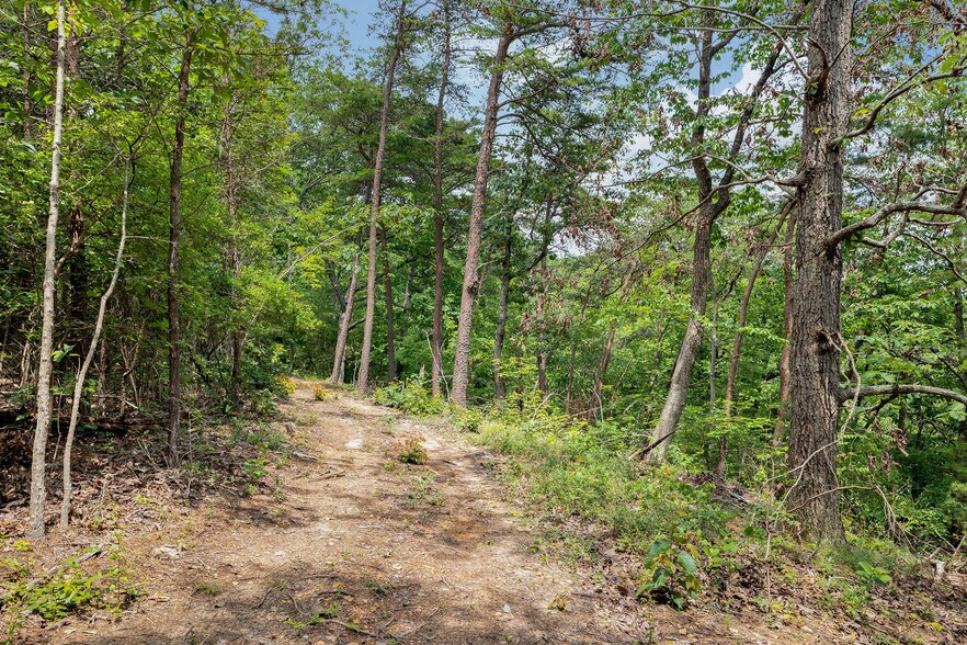 More Photos Of 1129 Sloan dr, Blountsville Land For Sale