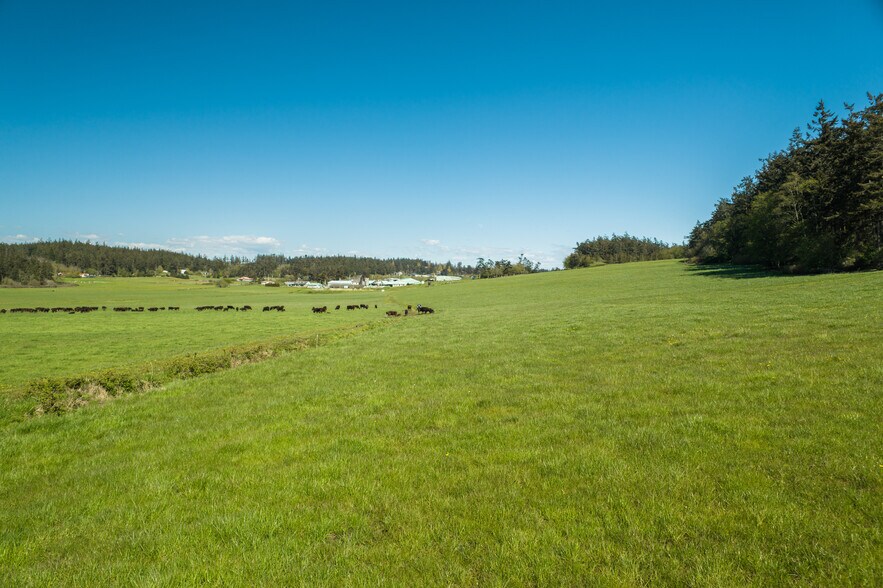 More Photos Of 1570 Wieldraayer Rd, Oak Harbor Land For Sale