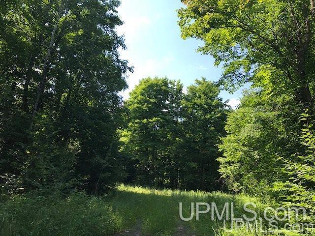 More Photos Of TBD Rock River Rd, Deerton Land For Sale