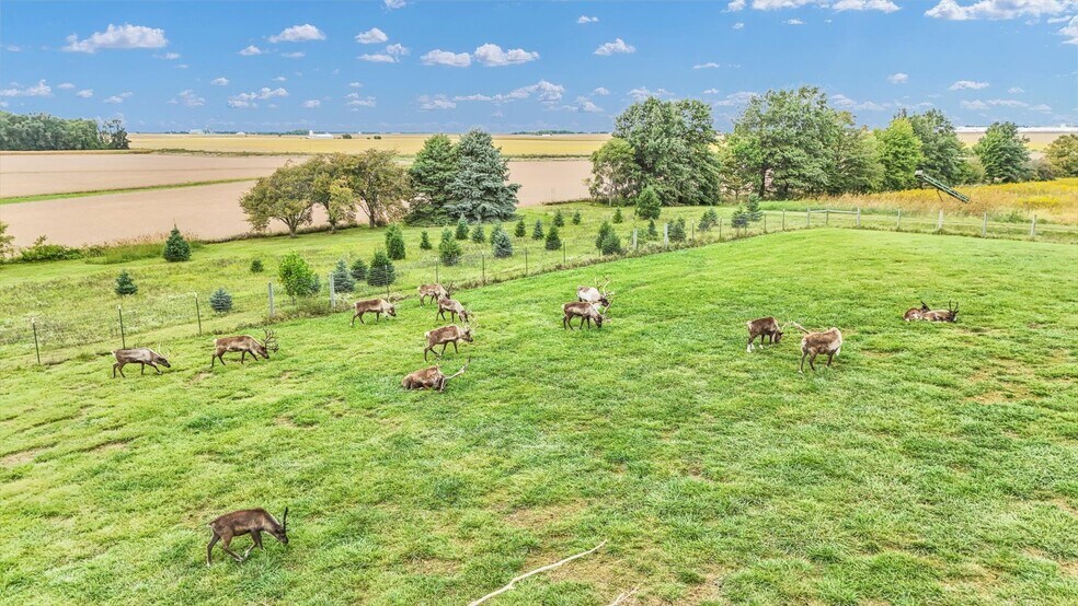 More Photos Of 1356 County Road 2900 N, Rantoul Specialty For Sale