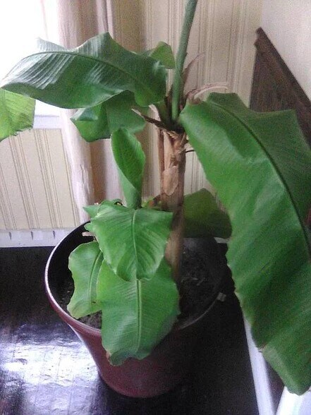 More Photos Of 2038 Grant Ave, Philadelphia Specialty For Sale