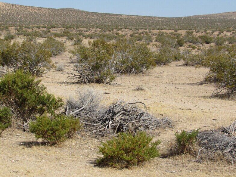 More Photos Of 227-071-05-00-6 Lindbergh Blvd, California City Land For Sale