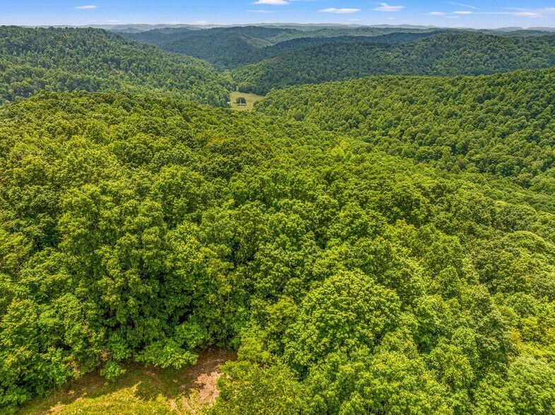 More Photos Of 1945 Pittman Branch Rd, Mount Vernon Land For Sale