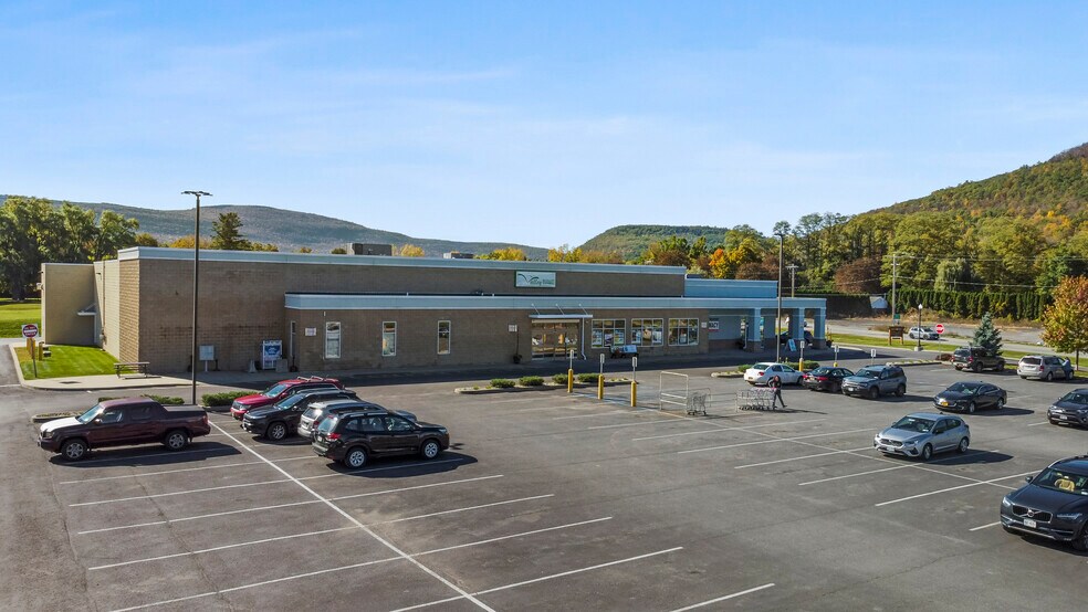 Primary Photo Of 174 Marjorie Ln, Middleburgh Freestanding For Sale