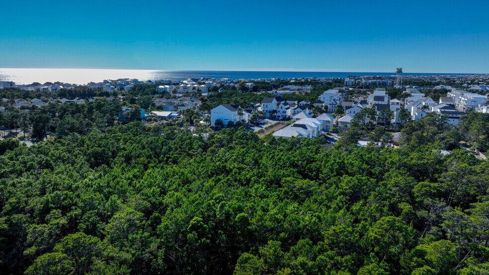 More Photos Of N Orange St, Inlet Beach Land For Sale