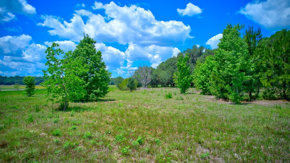 More Photos Of 3267 Neff Lake Rd, Brooksville Land For Sale