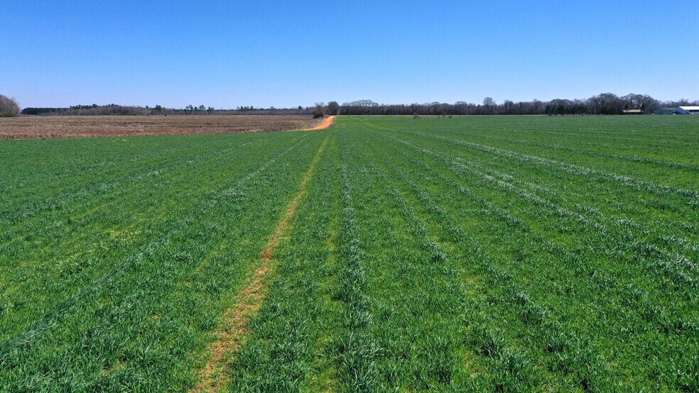 More Photos Of Lot 14 Davis Pond Rd rd, Atmore Land For Sale