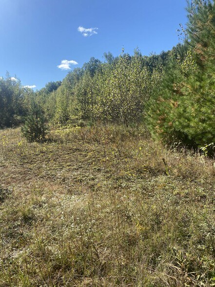 More Photos Of 126 State St, Palmer Land For Sale