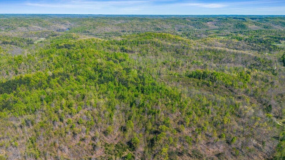 More Photos Of Knipp Branch, Grayson Land For Sale