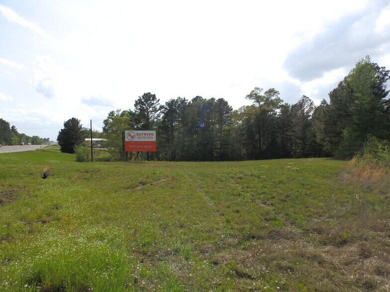 More Photos Of 19522 HWY 155, Flint Land For Sale