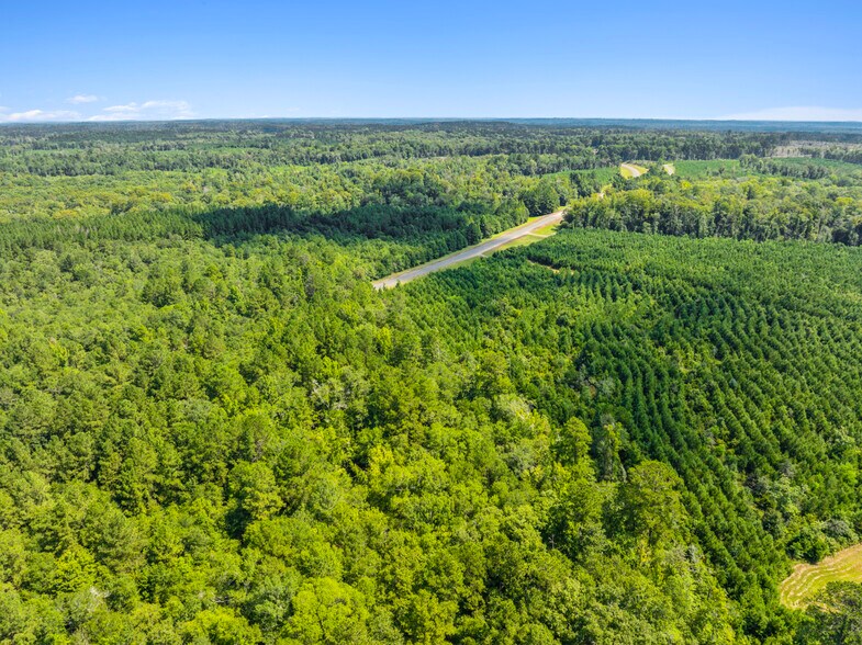 More Photos Of 7471 Highway 155, Saline Land For Sale