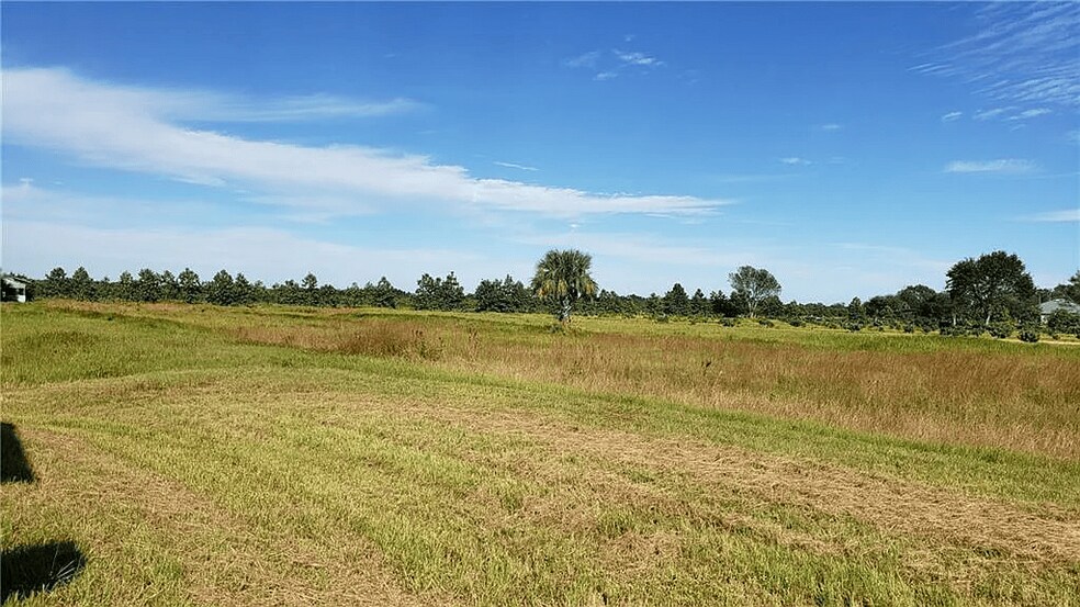 More Photos Of 14255 113th St, Fellsmere Land For Sale