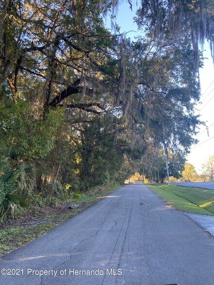 More Photos Of Ponce De Leon Ave, Brooksville Land For Sale
