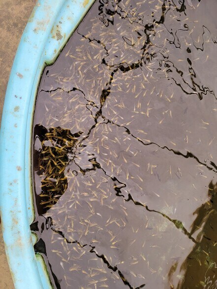 More Photos Of 38935 River Rd., Dade City Land For Sale