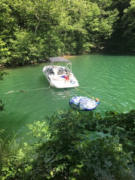 More Photos Of 1658 Pinecrest Rd, Jacksboro Land For Sale