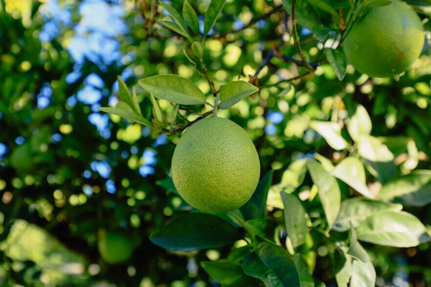 More Photos Of 1047 N San Gabriel Ave, Azusa Apartments For Sale