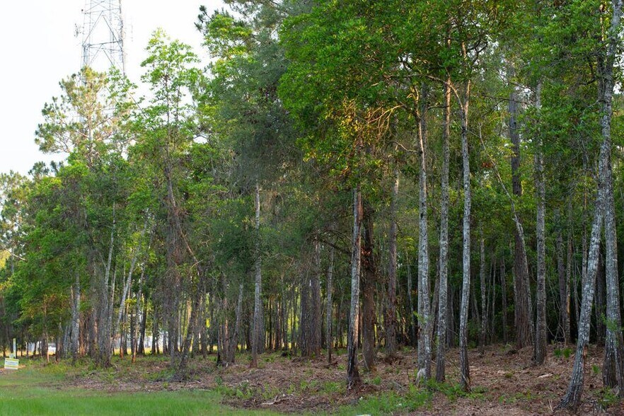 More Photos Of 53XX US Hwy 1 N, Bunnell Land For Sale