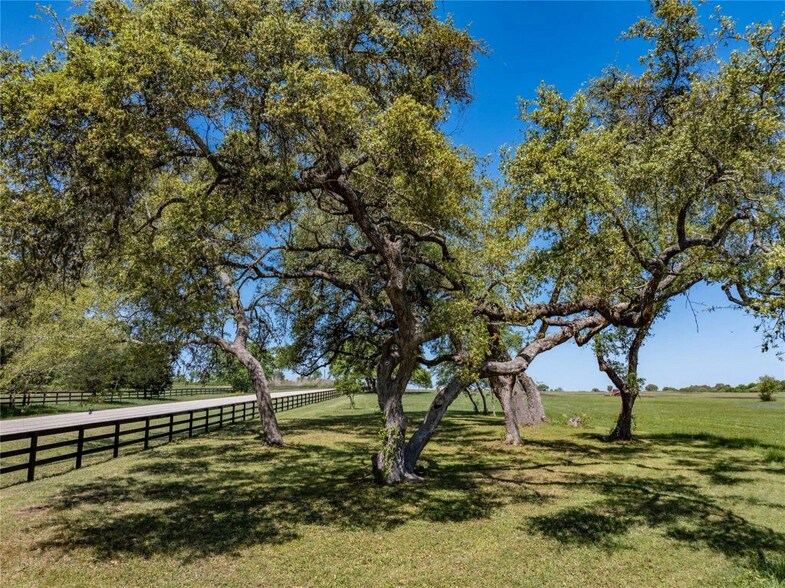 More Photos Of TBD Farm to Market Road 1291, Round Top Land For Sale