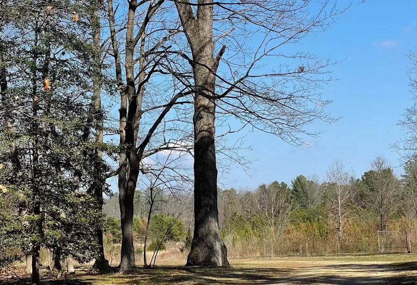 Primary Photo Of 3162 Jackson Rd, Williamstown Land For Sale