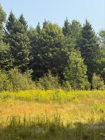 More Photos Of 3995 Boulter Rd, Boulter Land For Sale