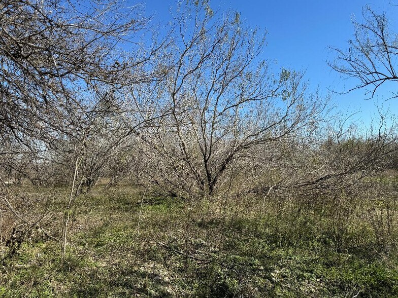 More Photos Of 0 Old Castroville Rd. Rd, San Antonio Land For Sale