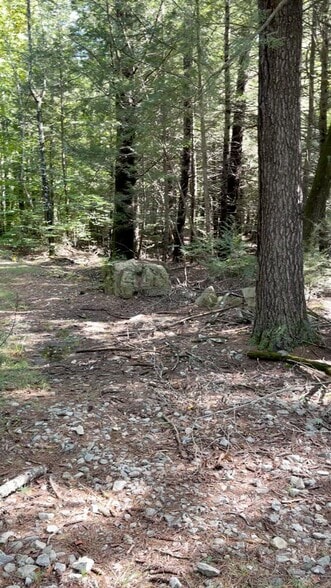 Primary Photo Of 24 Brook Rd, Amherst Land For Sale