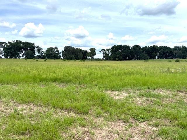 More Photos Of CR 635, Bushnell Land For Sale