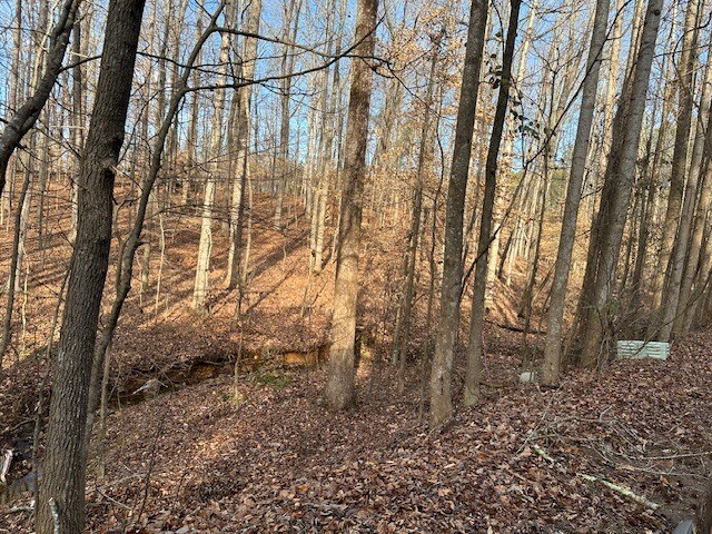 More Photos Of 00 Ash St, Canton Land For Sale