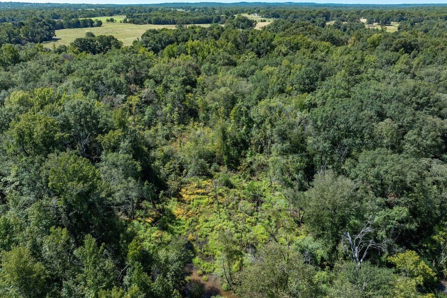 More Photos Of Tract 1 County Road 484, Mineola Land For Sale