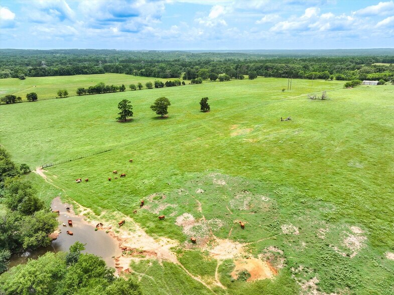 More Photos Of Tract 6 FM 855, Jacksonville Land For Sale