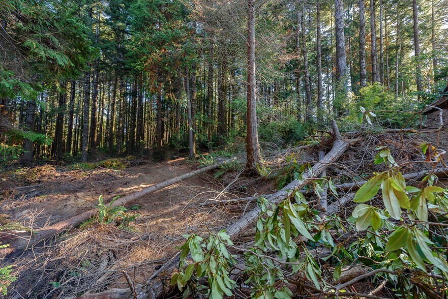 More Photos Of 0 Newmark ave, North Bend Land For Sale