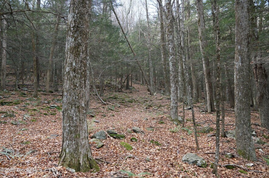 More Photos Of Mt Eden Estates Rd, Lexington Land For Sale