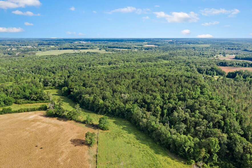 More Photos Of 1031 Brown Rd, Graceville Land For Sale