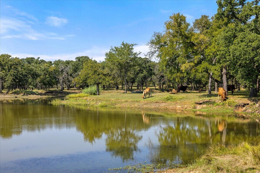 Primary Photo Of 11230 Light Rd, Lipan Land For Sale