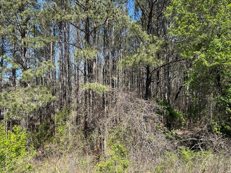 More Photos Of 0 Hwy 92/ Old Lee Road Hwy, Lithia Springs Land For Sale