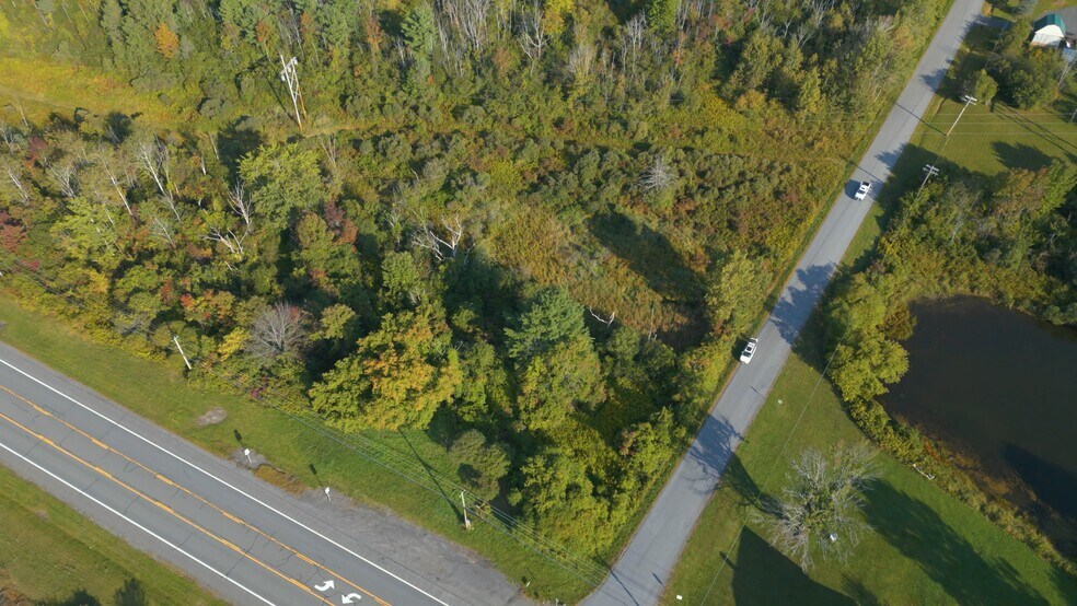 Primary Photo Of 219 Mudge rd, Delanson Land For Sale