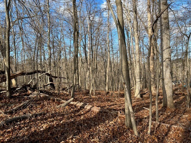 More Photos Of 4355 Old Roxbury Rd, Brookeville Land For Sale