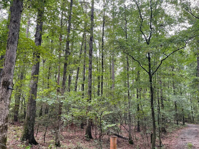 More Photos Of 17796 Dry Branch loop, Northport Land For Sale